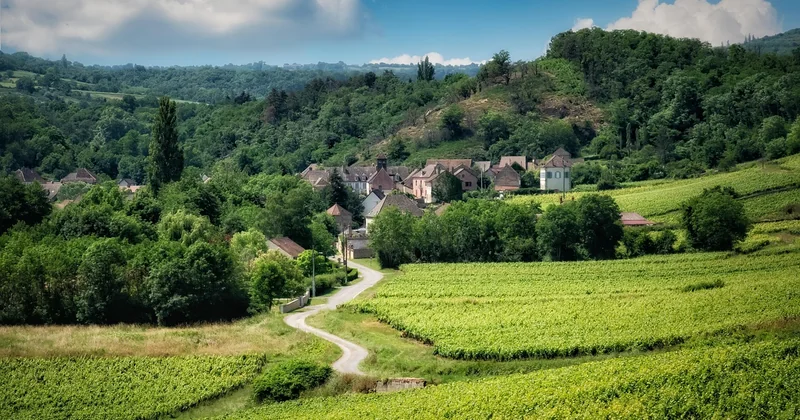 Acheter une maison vigneronne : où chercher, et à quel prix