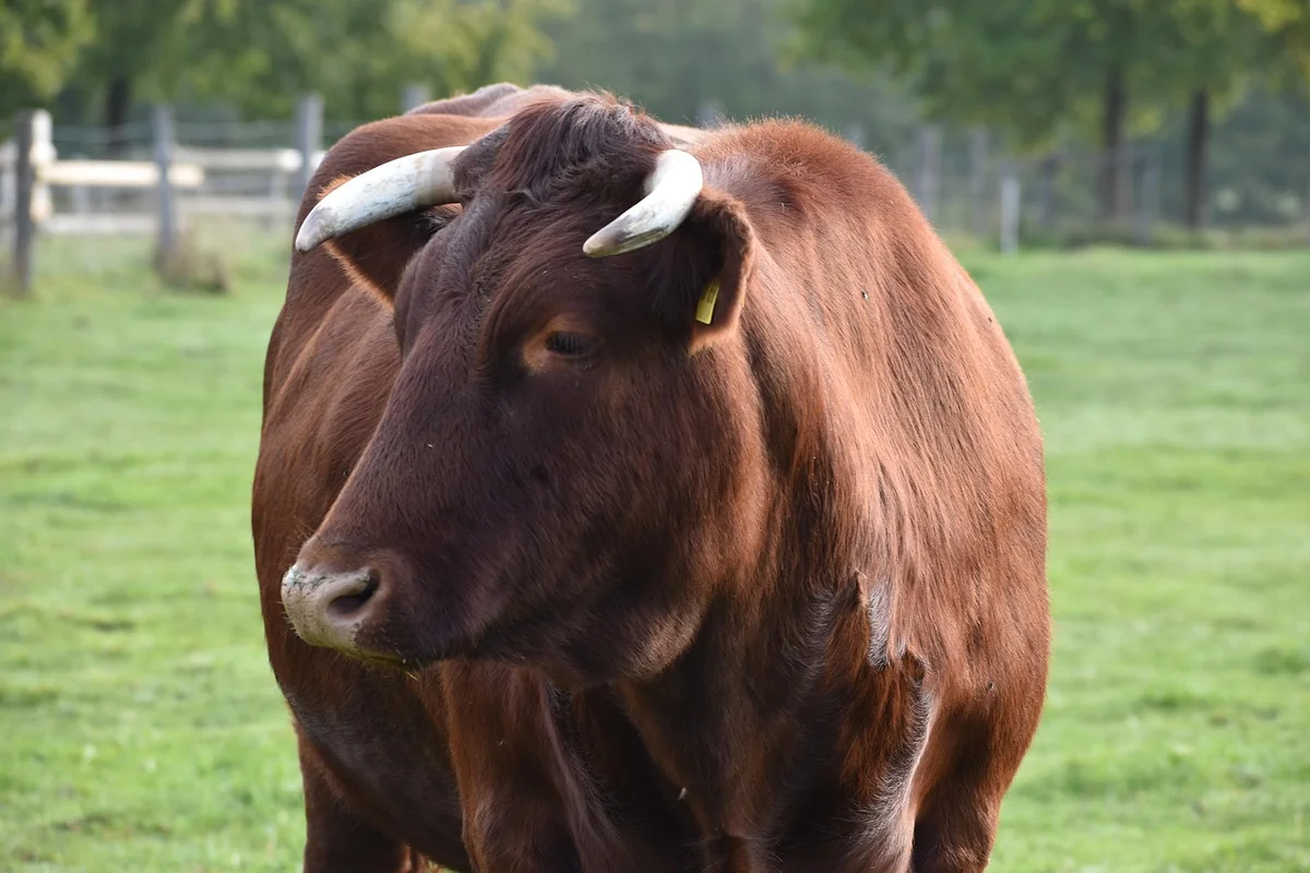Comment l'histoire des fermes jurassiennes s'est déroulée sur cinq siècles