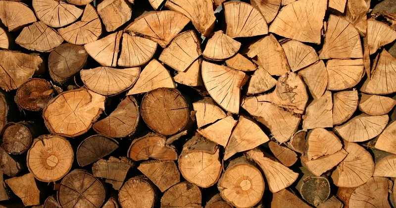 Le pan de bois : comment ça se monte vraiment
